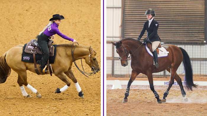TCU Equestrian